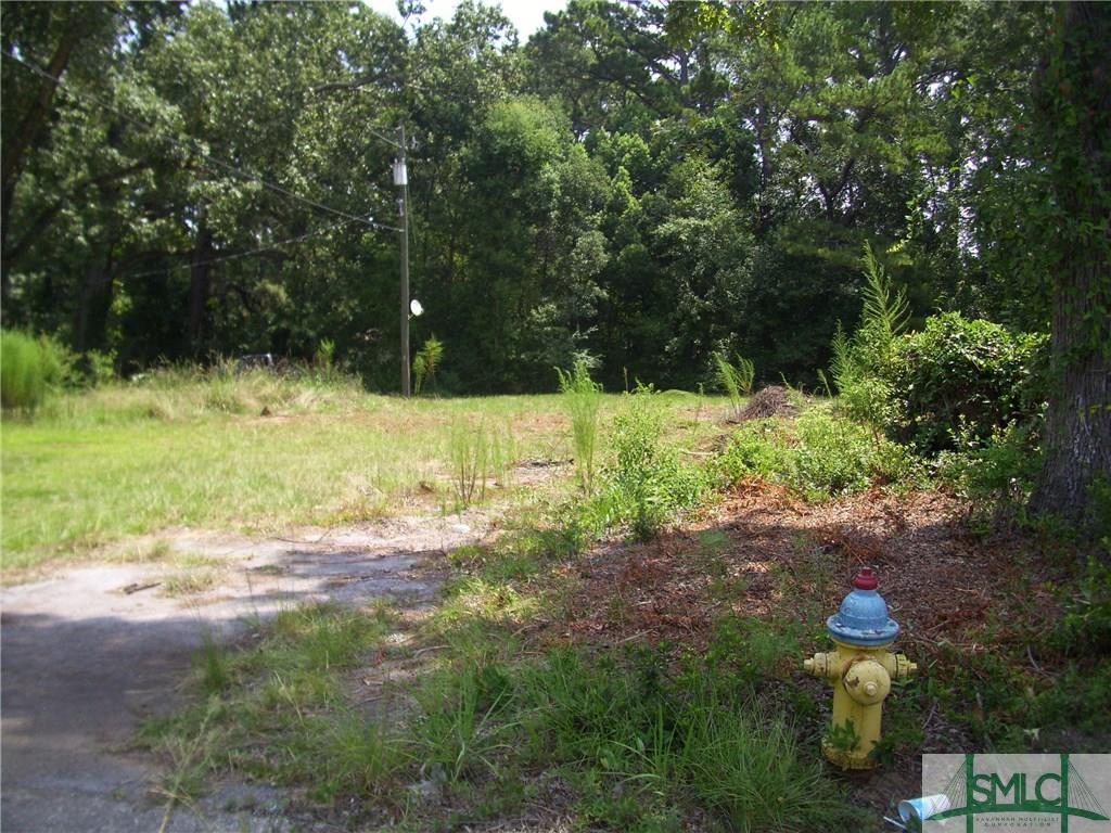 220 Skinner Street - Photo 1