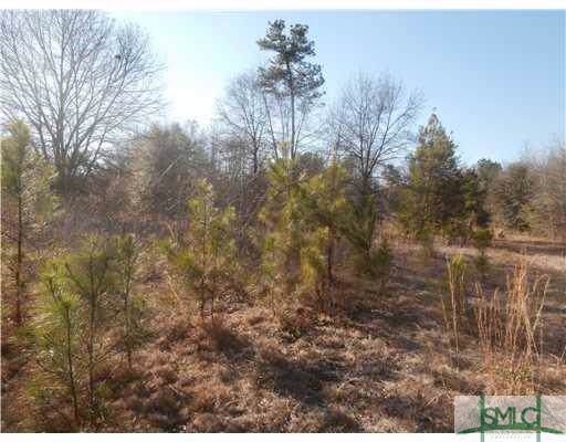 0 Windy Oaks (Lot 22) Court - Photo 1