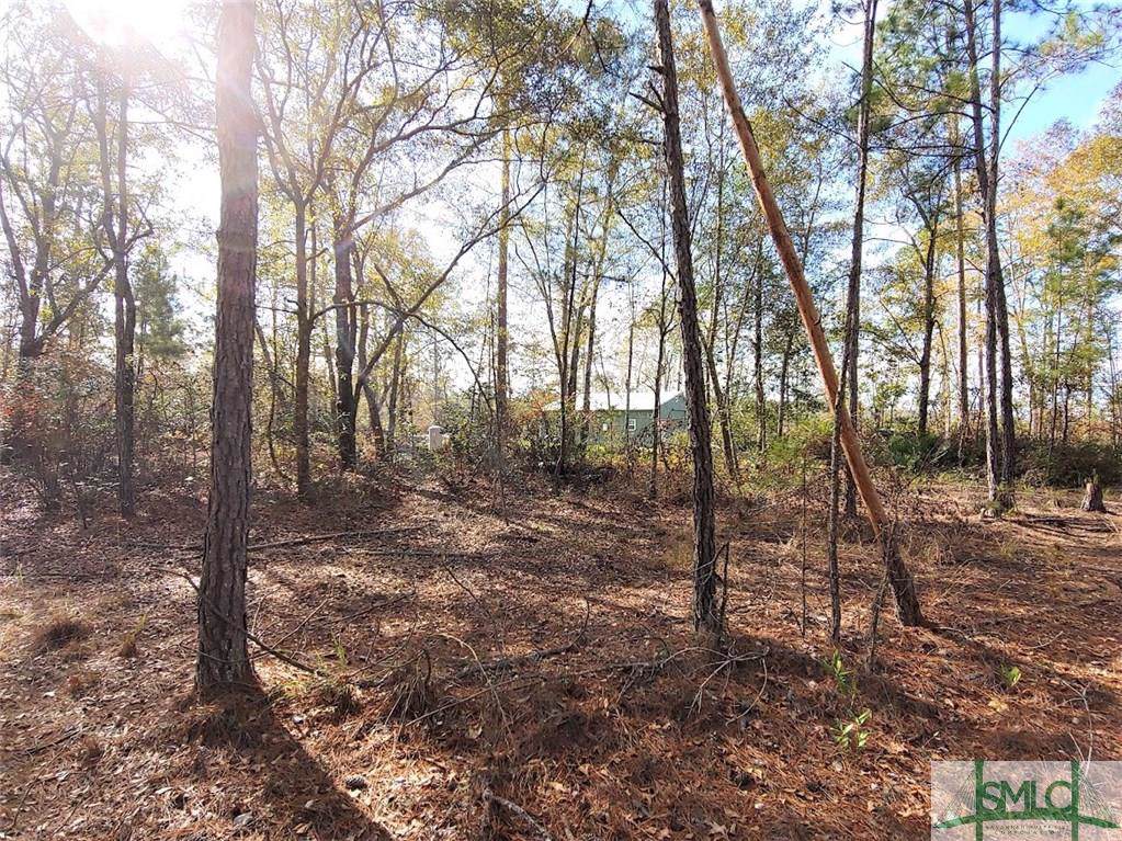 165 Old Elam Cemetery Road - Photo 1