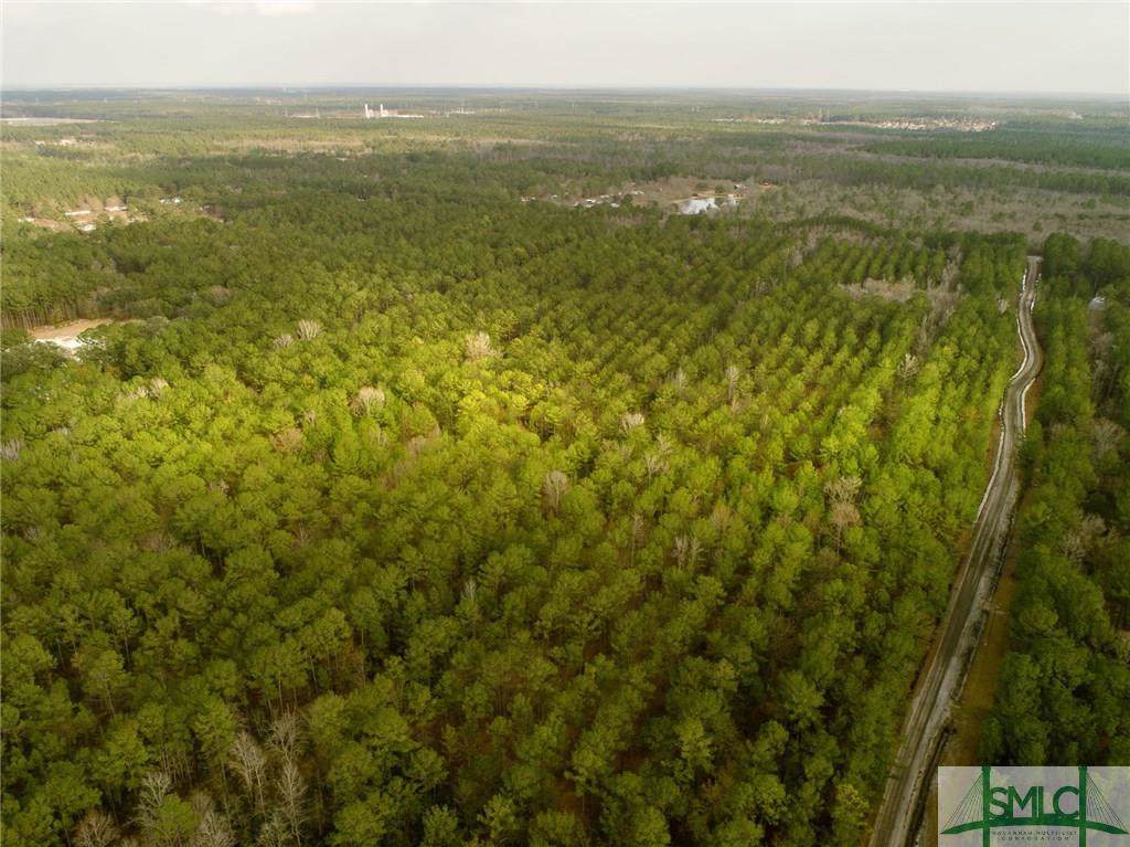Lot #5 White Branch Road - Photo 1