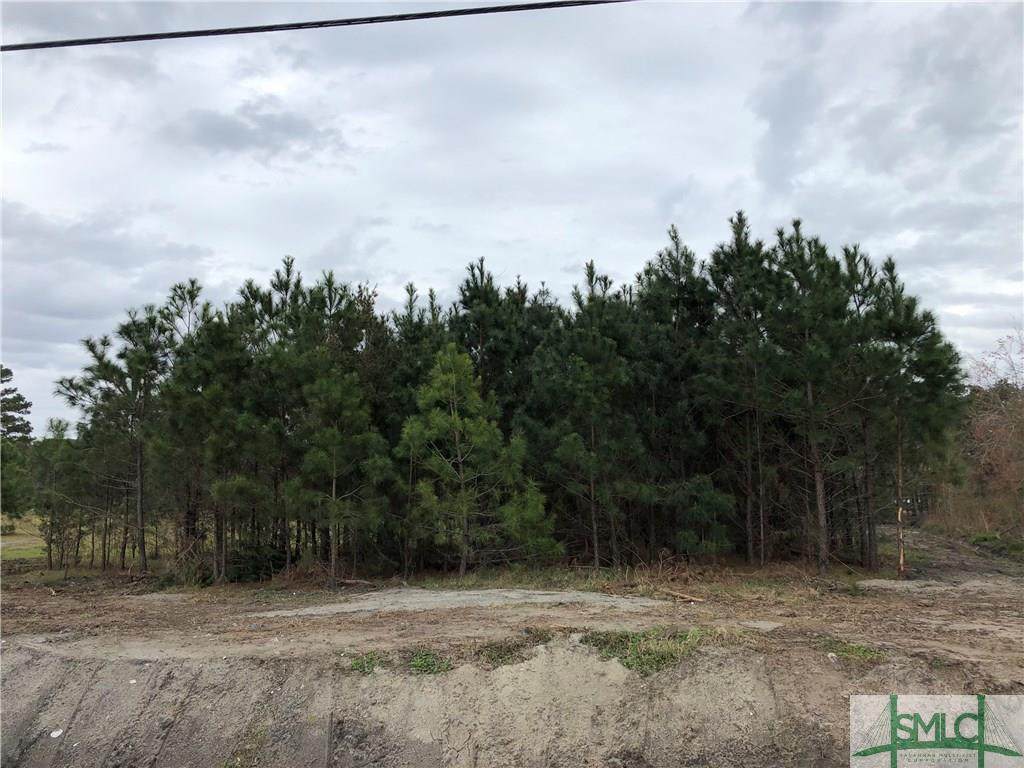 2199 Us Highway 17 Highway - Photo 1