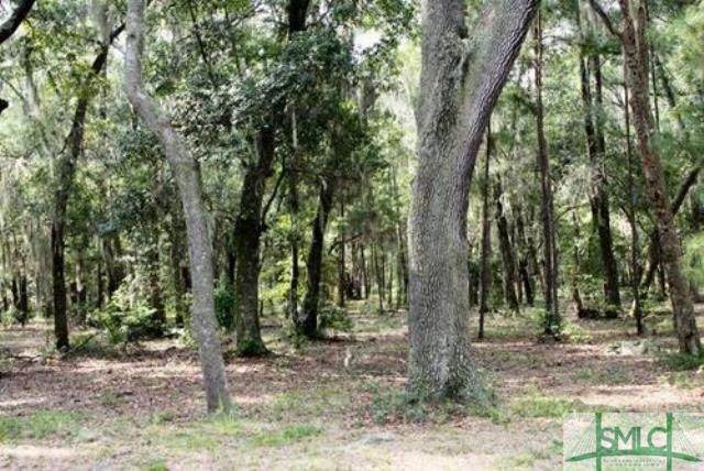 Lot 20 Spartina Way - Photo 1