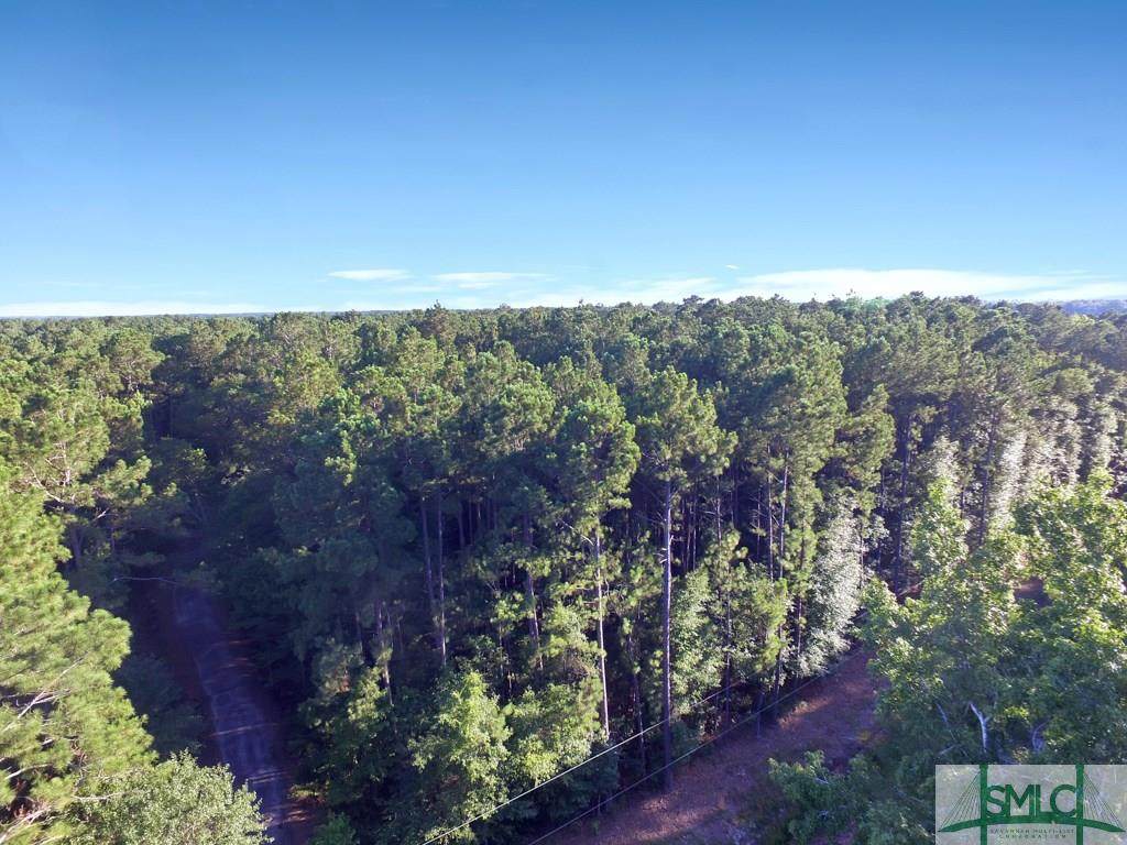 Lot 7 Burkhalter Road - Photo 1