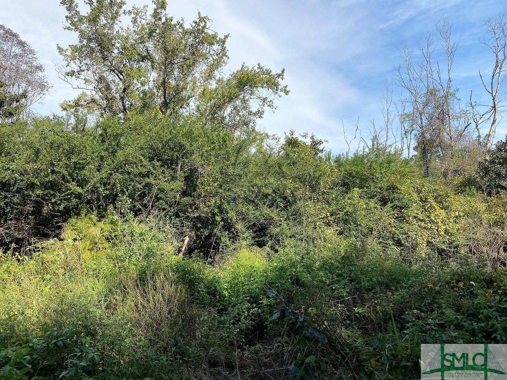 208 Sam Doyle Drive - Photo 1