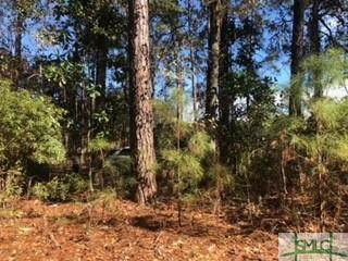 2203 Grove Point Road - Photo 1
