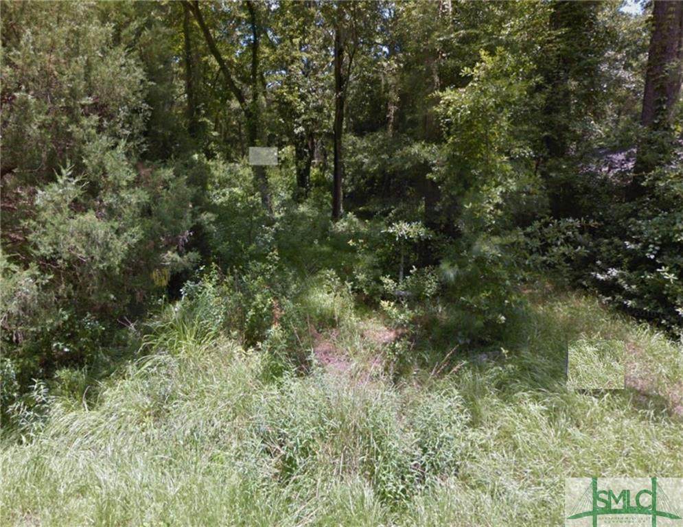 0 Pine Avenue - Photo 1