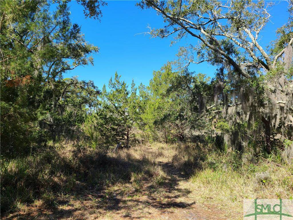 0 Campbell Avenue - Photo 1