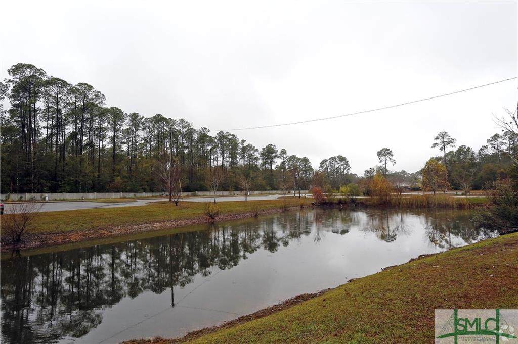 0 Elma G Miles #200 Parkway - Photo 1