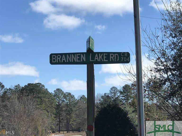 0 Brannen lake Rd Brannen Lake Road - Photo 1