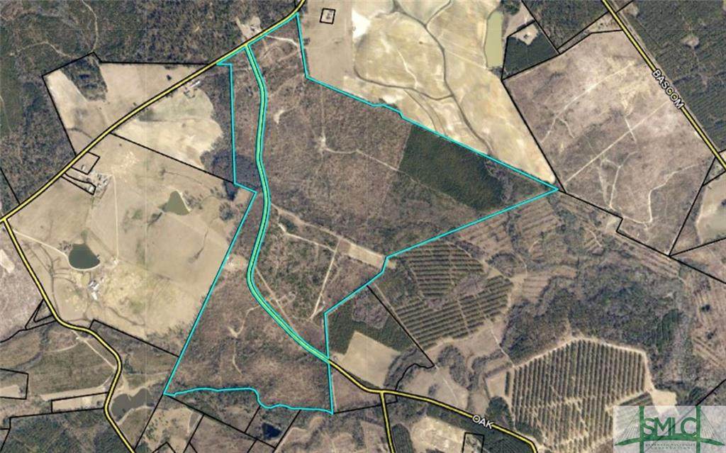 0 Water Oak Road - Photo 1