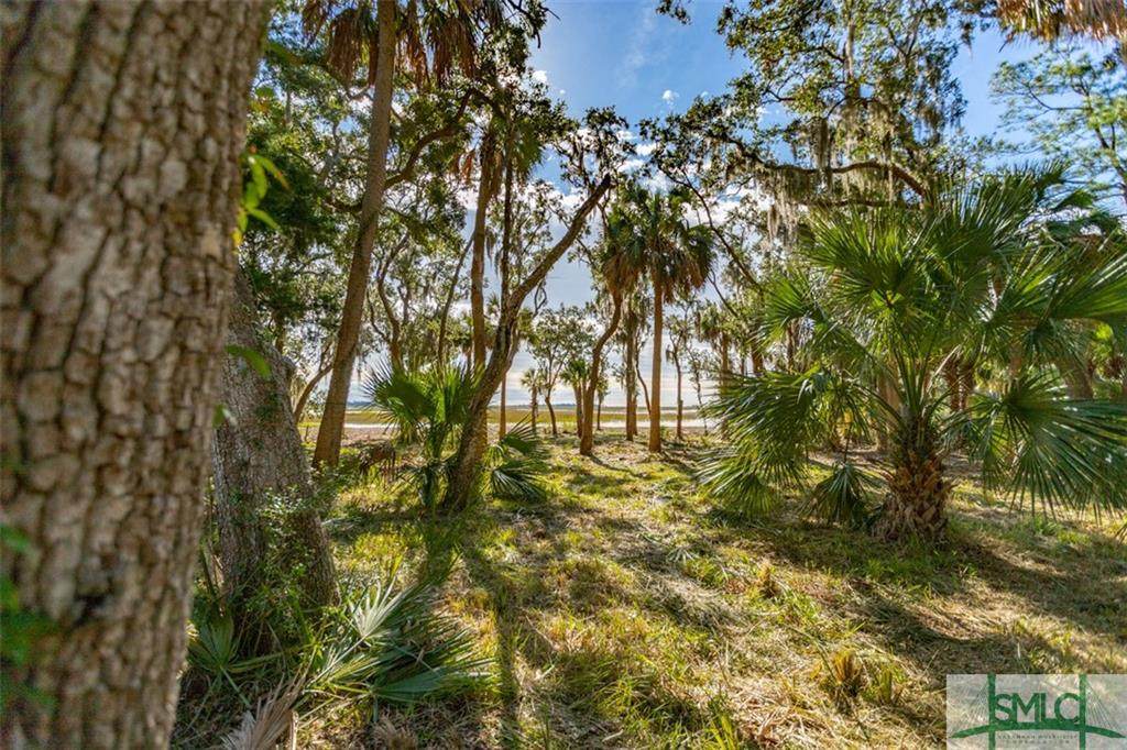 2 Moss Hammock Lane - Photo 1
