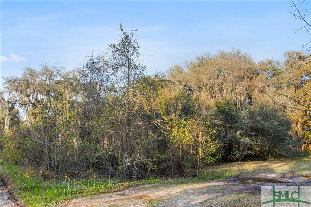 Lot 10 Marie Avenue - Photo 1