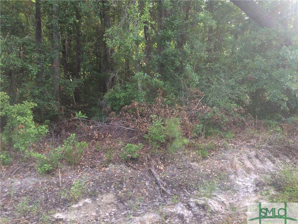 2 Frazier Drive - Photo 1