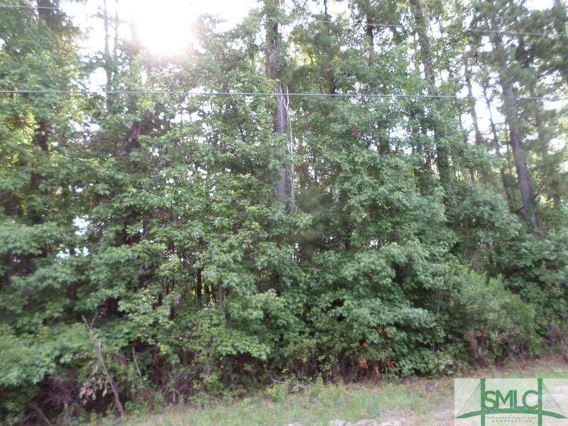 0 Sunshine Campground (Lot 10) Road - Photo 1