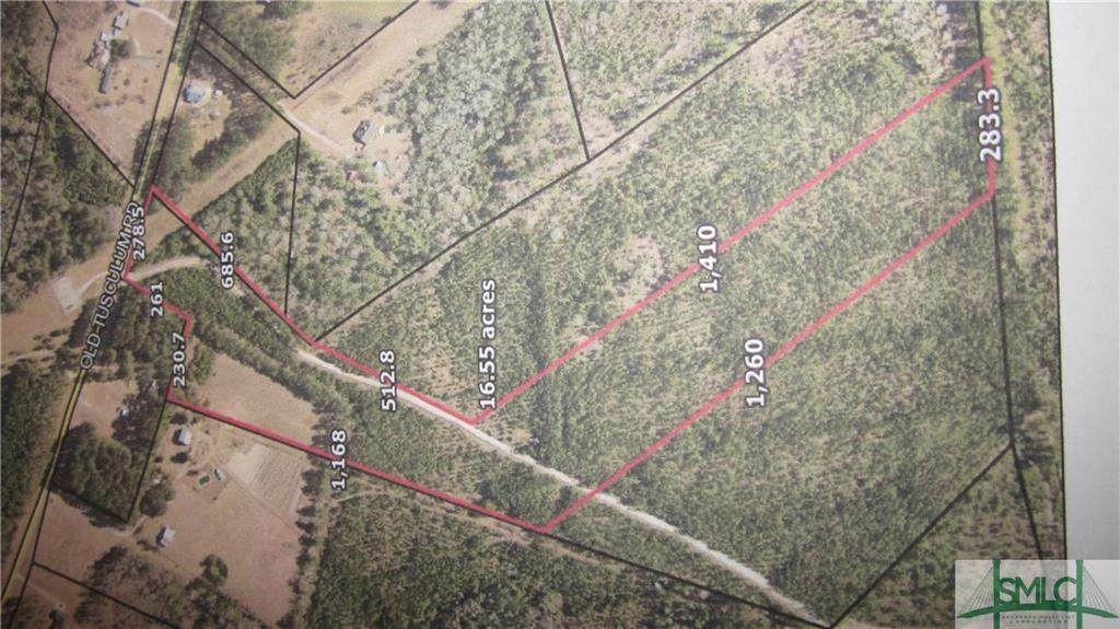 03 Springfield Tusculum Road - Photo 1