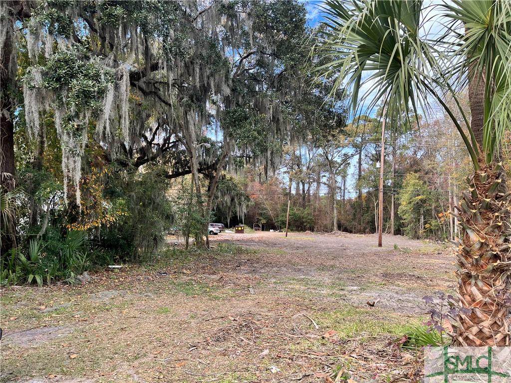 5128 Ogeechee Road - Photo 1