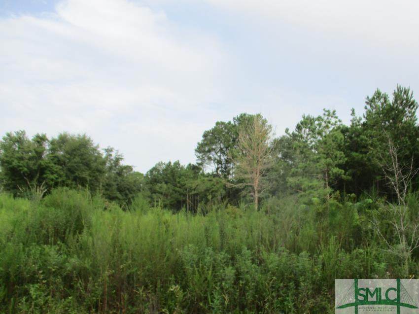29 Cooper Lane - Photo 1