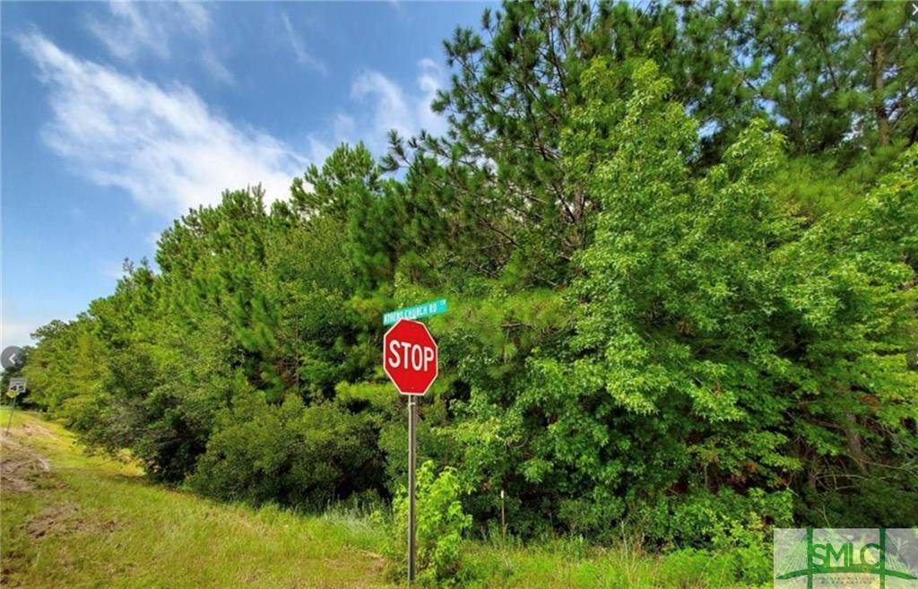 0 Hwy 280 & Athen Church Road - Photo 1