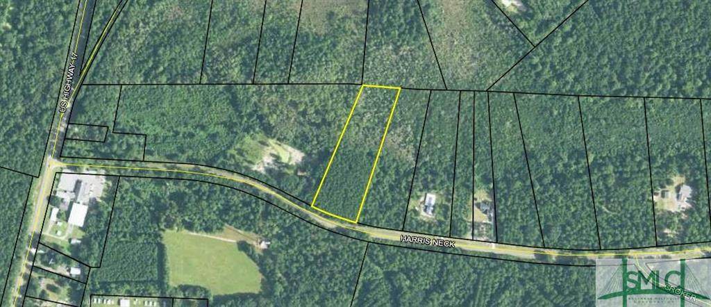 0 Harris Neck Road - Photo 1