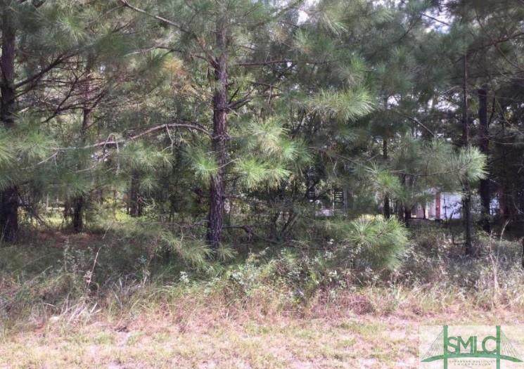 0 Village Drive - Photo 1