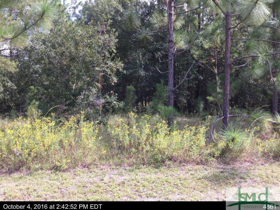 874 Midland Road - Photo 1