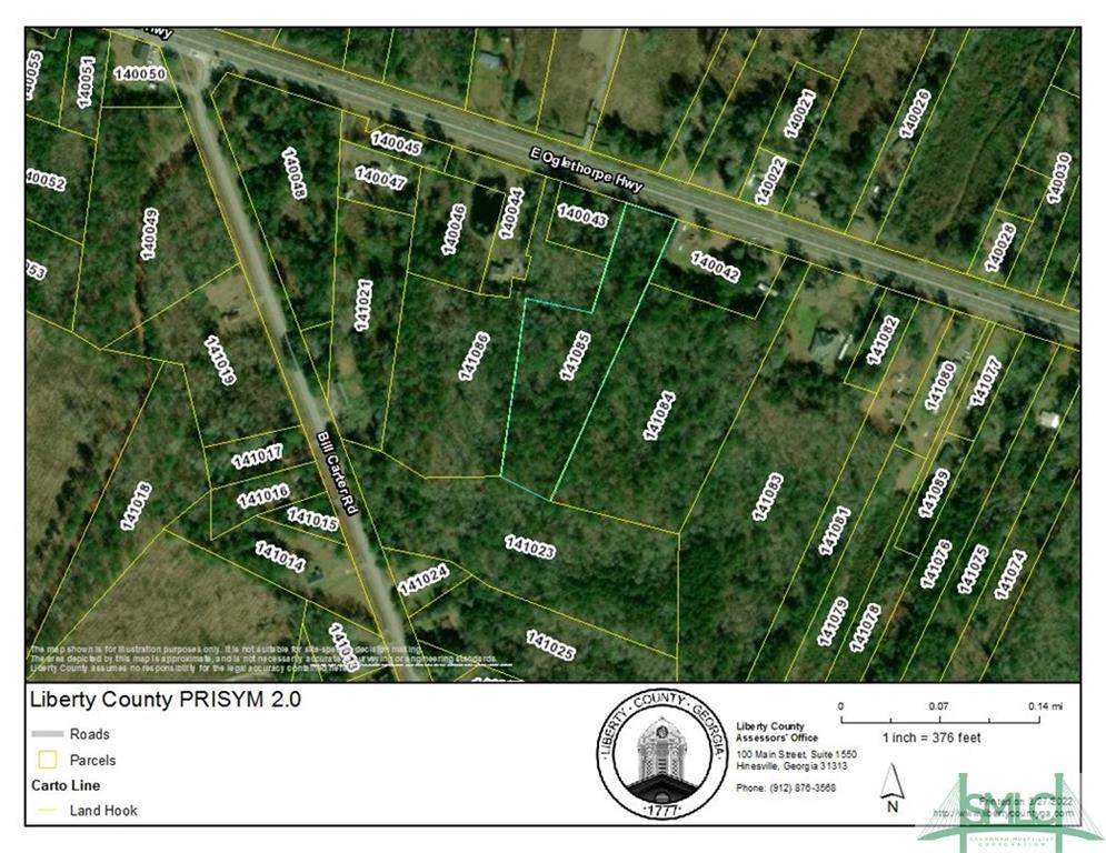 0 Oglethorpe Highway - Photo 1