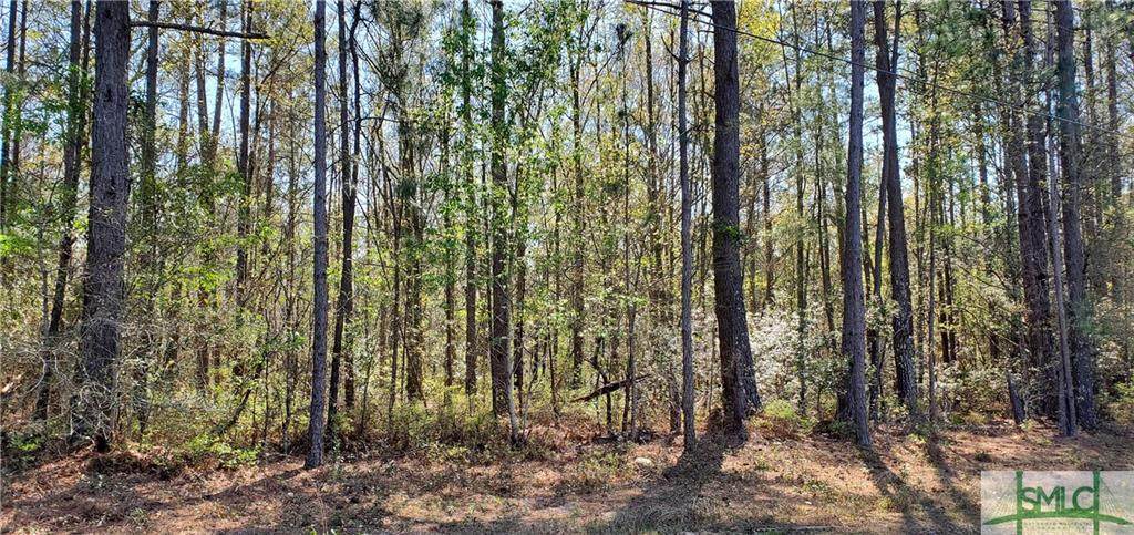 2178 Ga Highway 204 Highway - Photo 1