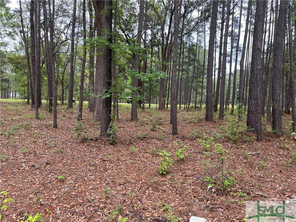 183 Wood Haven Lane - Photo 1