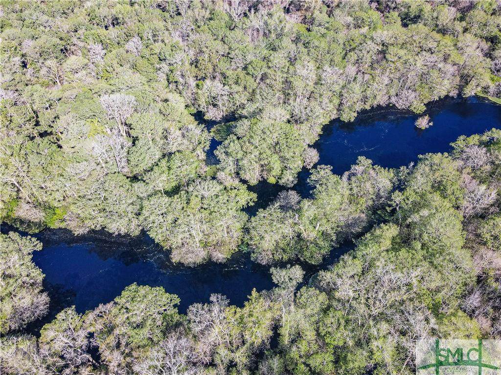 315 High Bluff Road - Photo 1