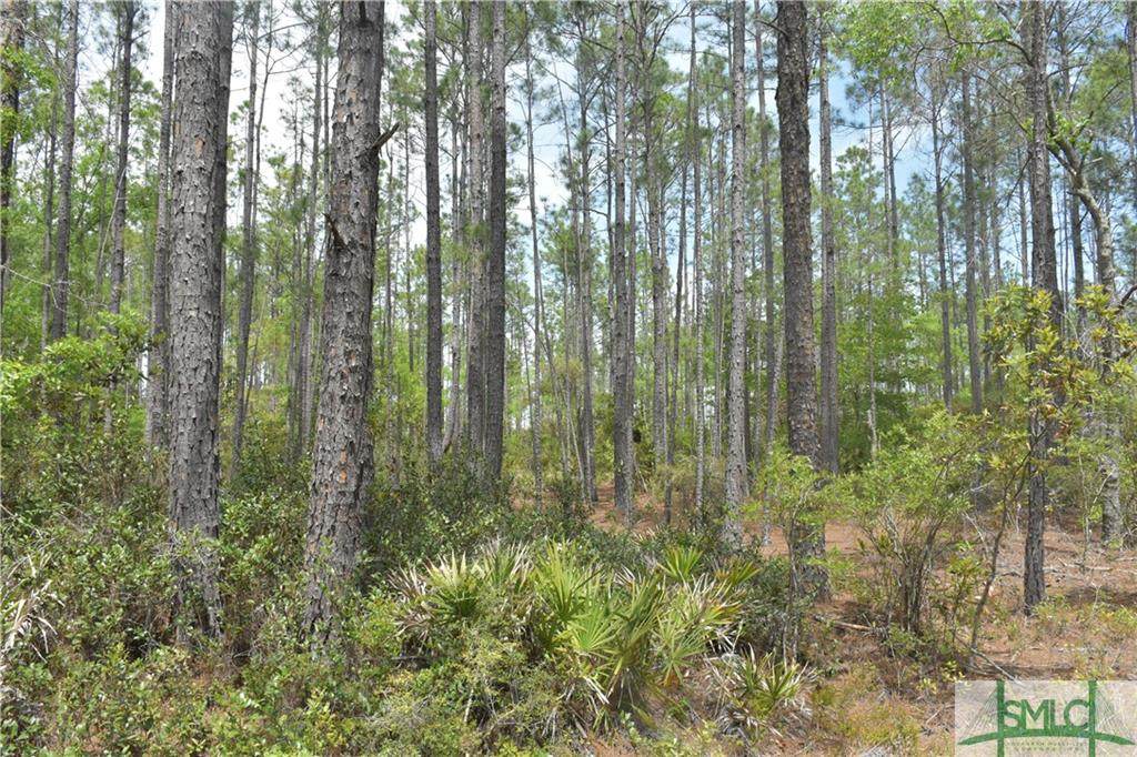Lot 4 Peewee Drive - Photo 1
