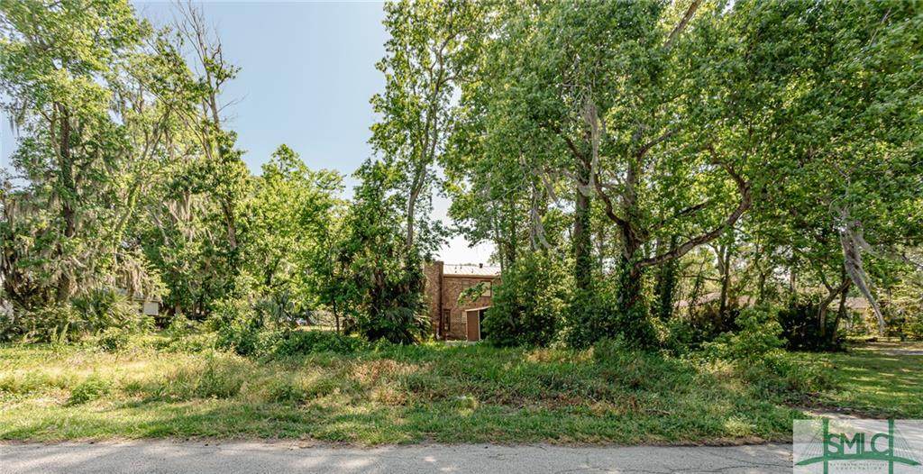 0 Cedar Street - Photo 1