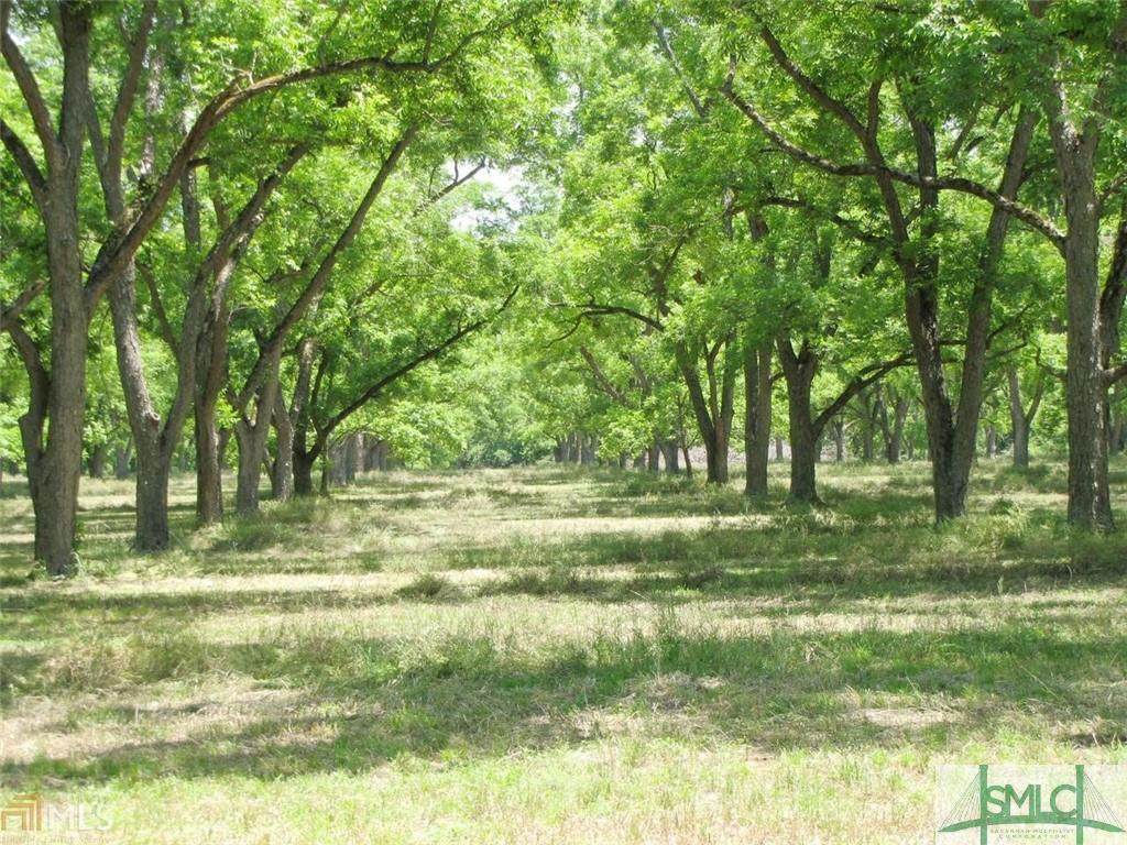 0 Bargeron Grove Road - Photo 1