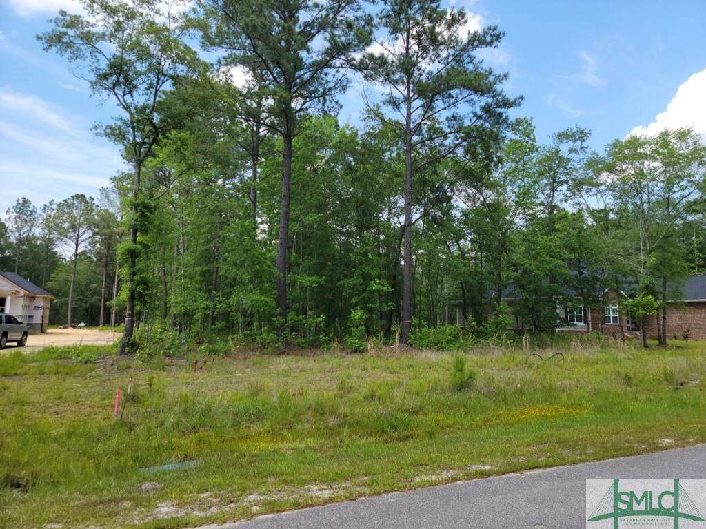 219 Virginia Lane - Photo 1