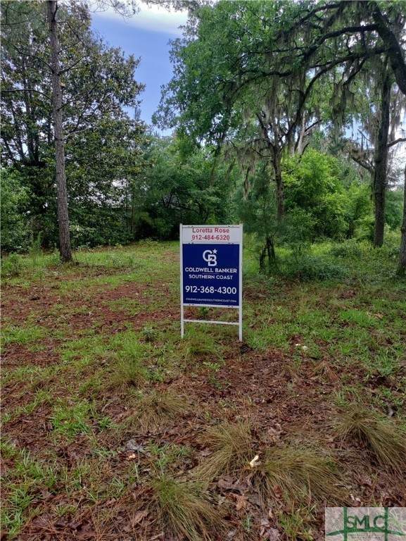 209 Graham Lane - Photo 1
