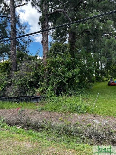 439 Telfair Road - Photo 1