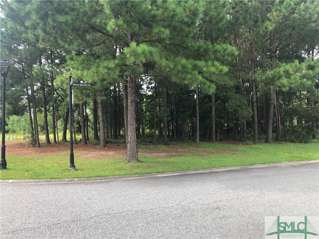 119 Enclave Boulevard - Photo 1