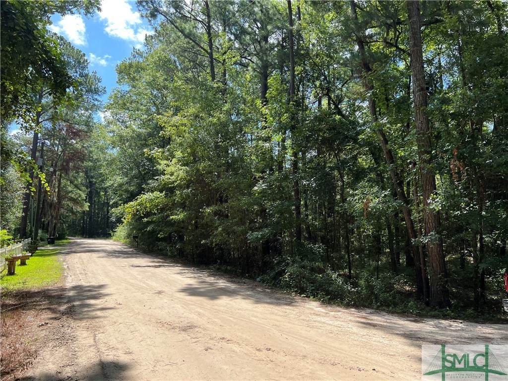 Lot 105 Deer Trail Lane - Photo 1