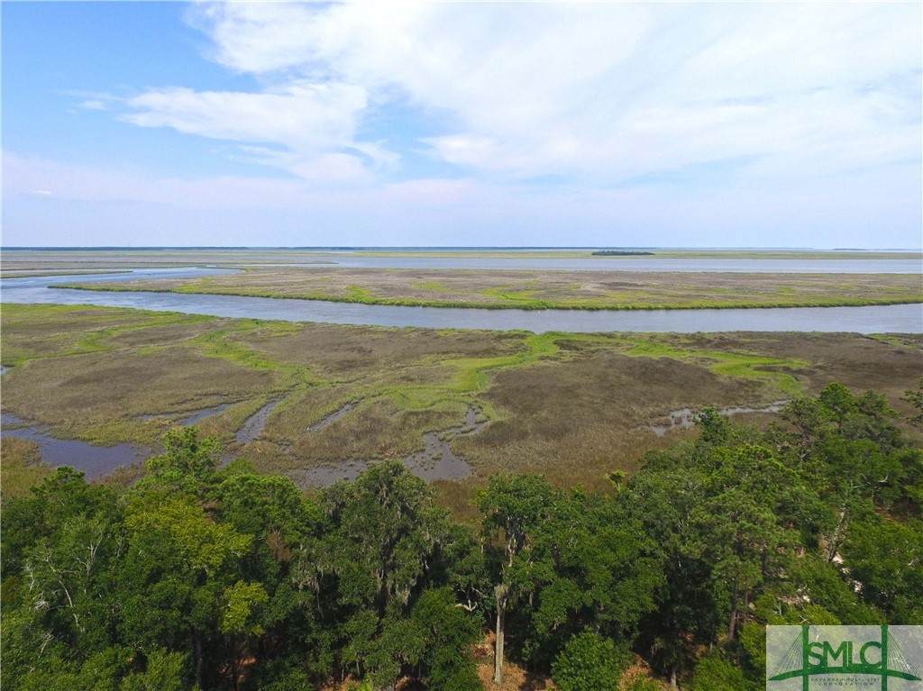 97 Cubbage Island Drive - Photo 1