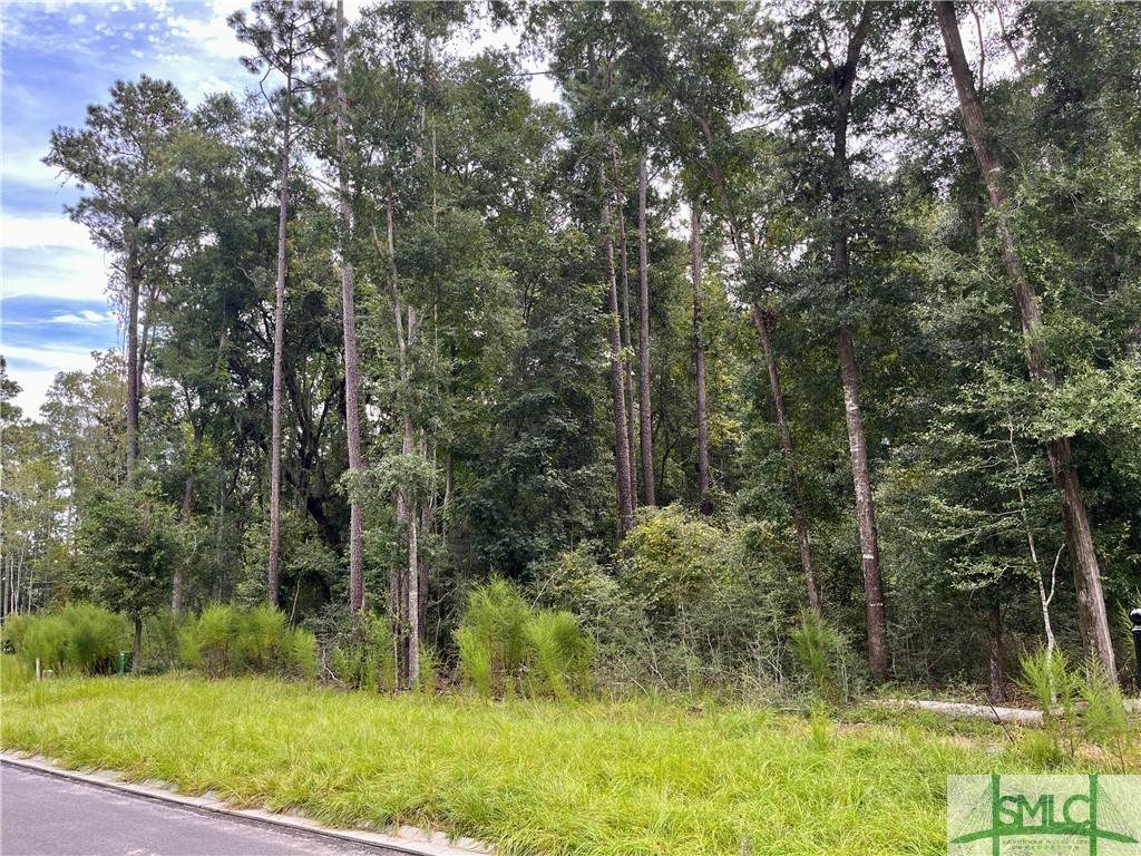 213 Cubbage Island Drive - Photo 1