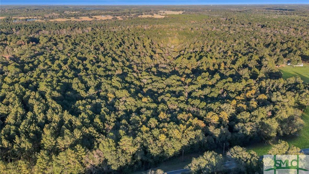 41100 Canoochee Road - Photo 1