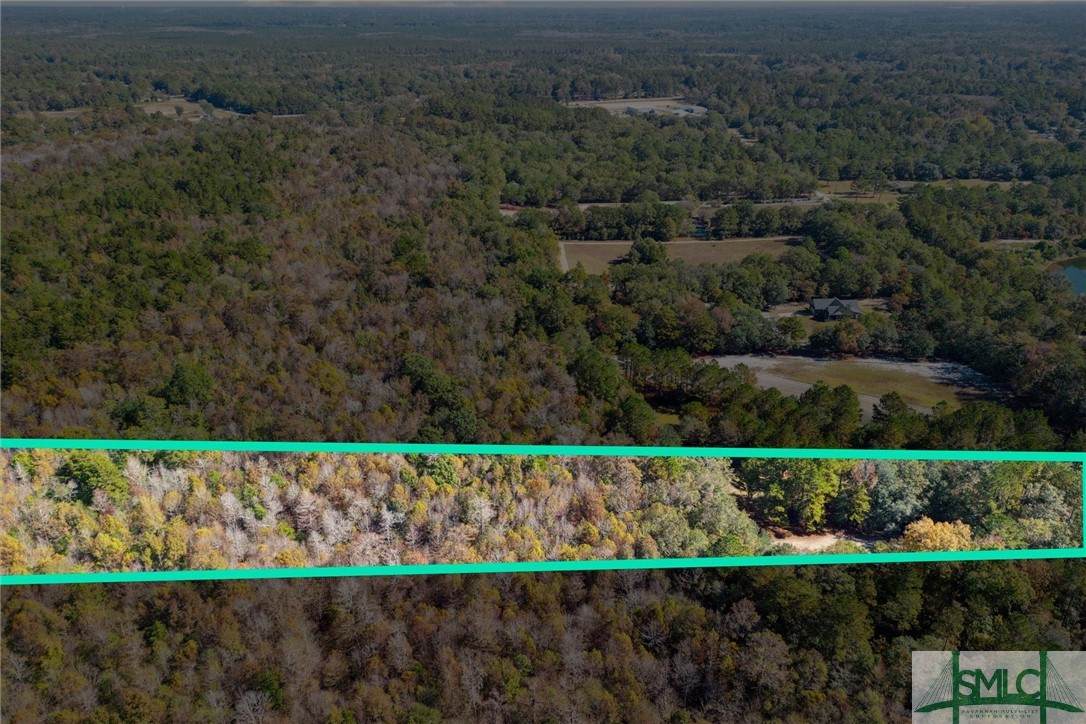 0 Us Hwy 80 - Lt 5,6, & 1/2 Of 7 Highway - Photo 1