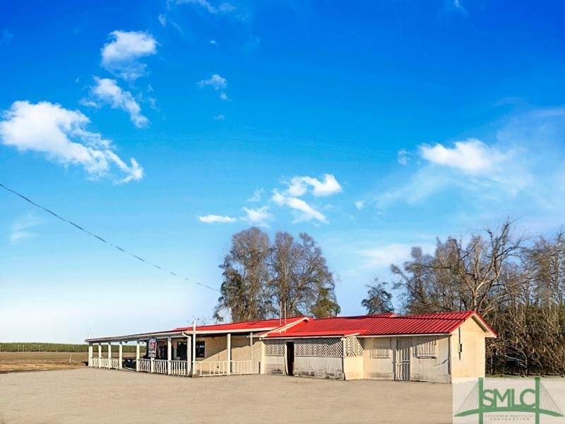 6690 Burtons Ferry Highway - Photo 1