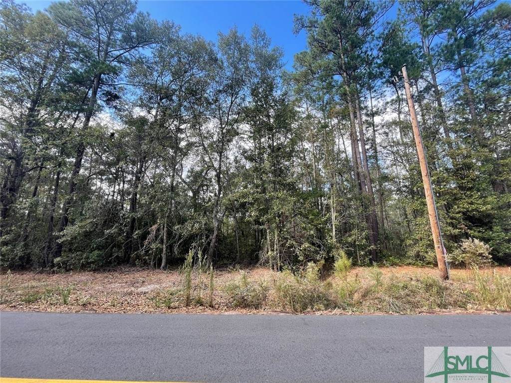 0 Long Pond Road - Photo 1