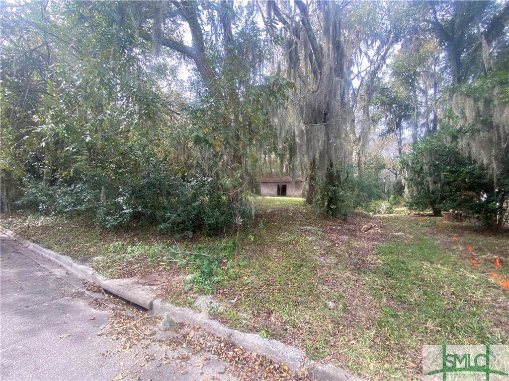 0 60th Street - Photo 1