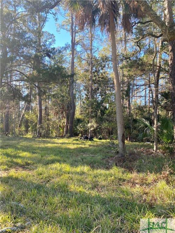 41 Moon River Drive - Photo 1