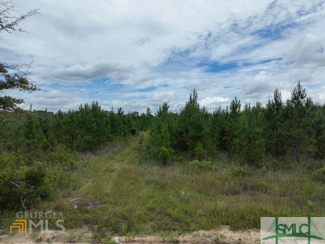 711 Nursery Road - Photo 1