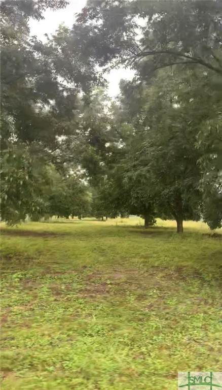 0 Clark Rd Road - Photo 1