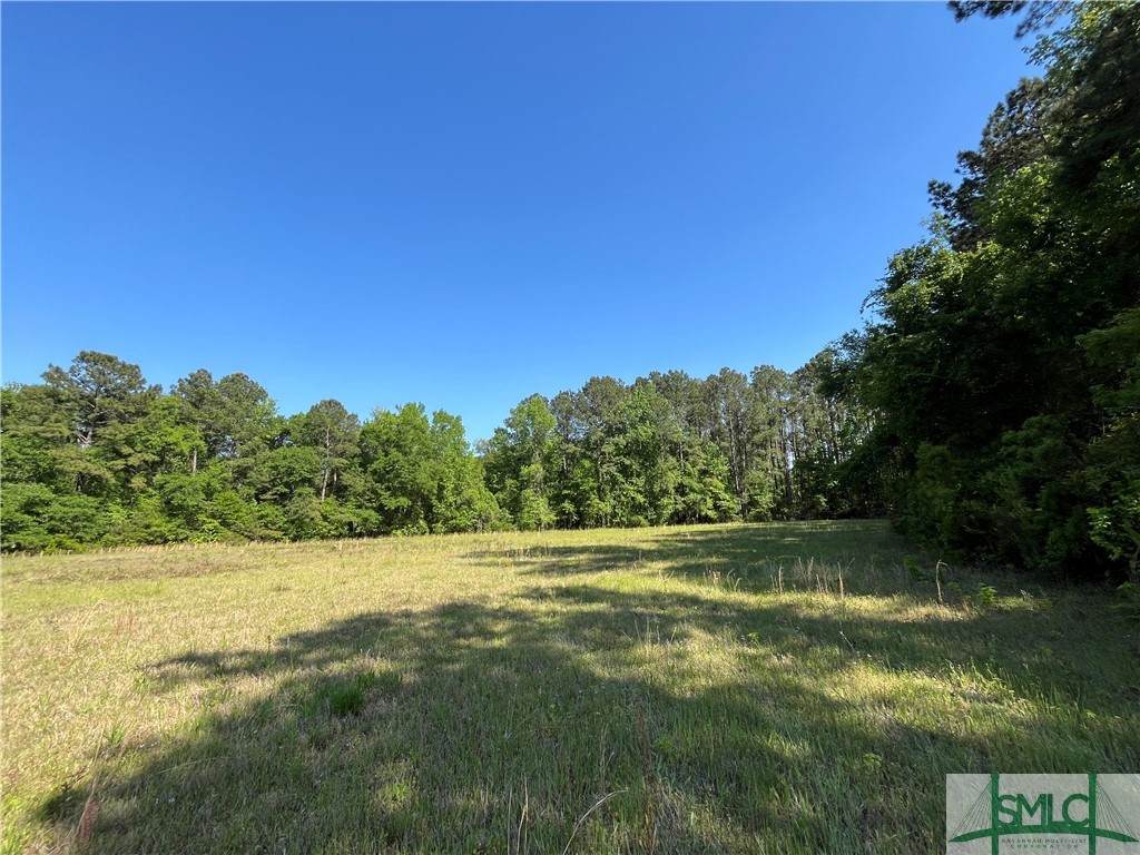0 Ga 119 Highway - Photo 1