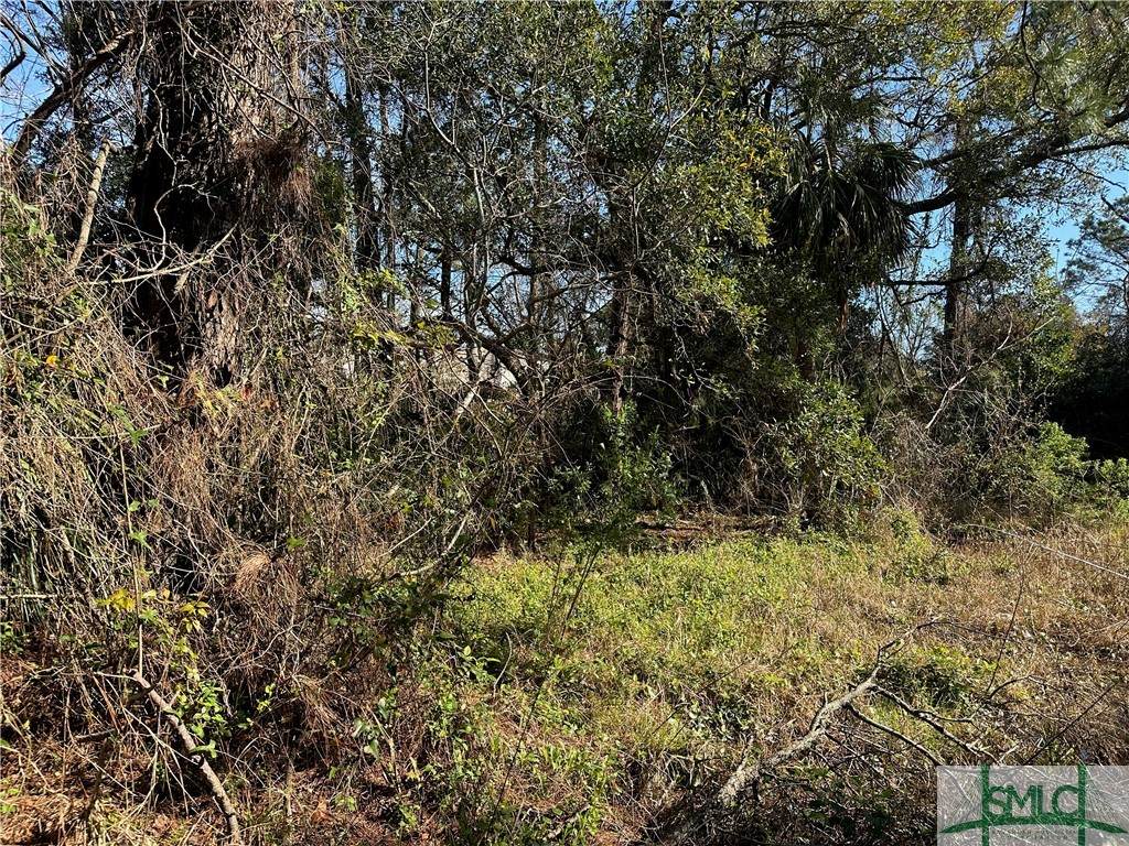 0 Rifle Avenue - Photo 1
