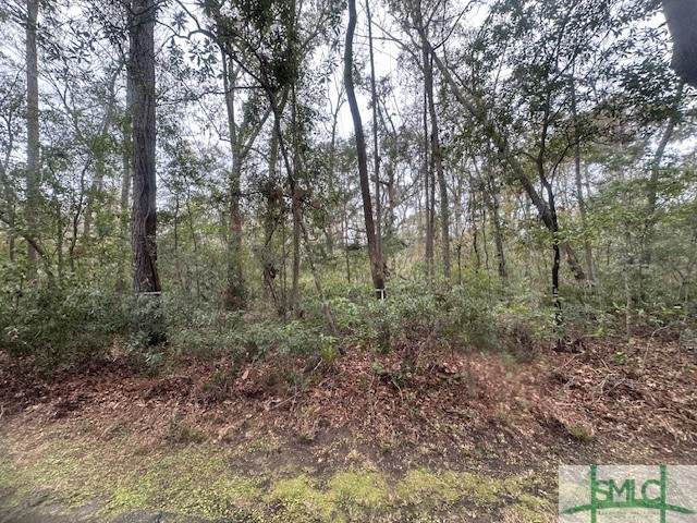 66 Bull Point Drive - Photo 1